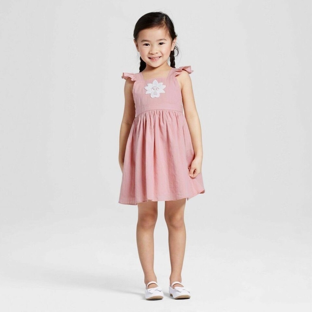 Victoria Beckham for target pink ruffle sleeve dress 3T